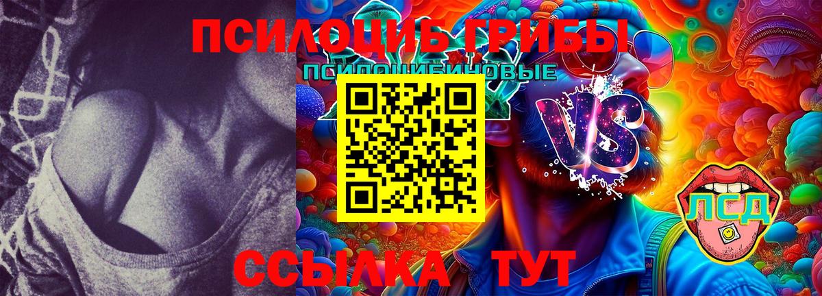 Псилоцибиновые грибы Magic Shrooms  Вход с VPN  Энгельс 