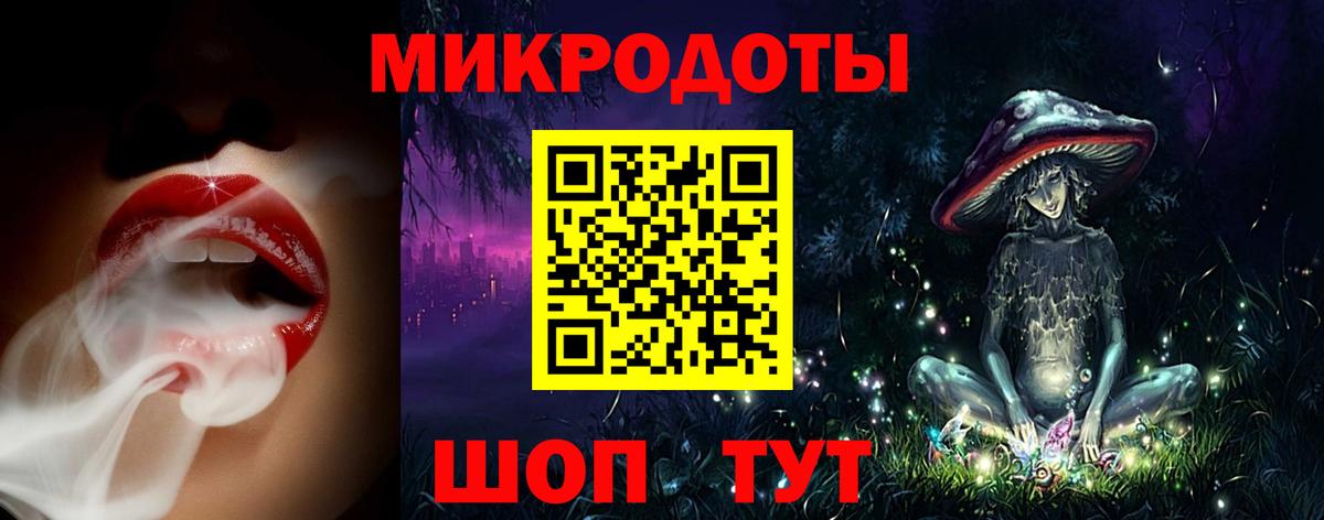 Галлюциногенные грибы Psilocybe Энгельс